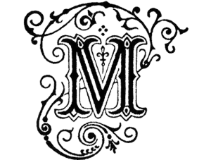 Manor at Mountain View logo