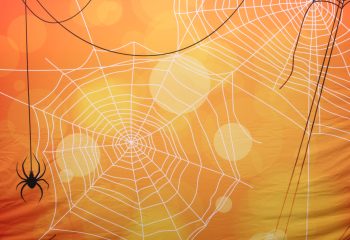 Halloween Webs and spider 8x8 CUPB Pillow Top Backdrop